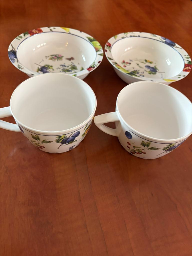 Janneke  Brinkman campingservies (fruit), Huis en Inrichting, Keuken | Servies, Ophalen of Verzenden, Zo goed als nieuw, Overige materialen