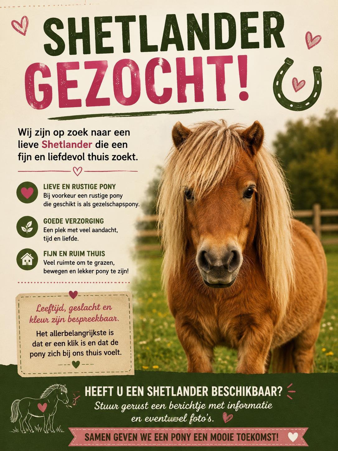 Shetlander gezocht, Ophalen of Verzenden, Zo goed als nieuw, Paarden of Pony's
