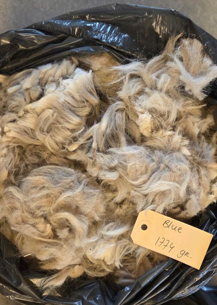 Alpacawol van onze alpaca's.., Hobby en Vrije tijd, Spinnewielen en Spinnen, Nieuw, Spinwol, Ophalen of Verzenden