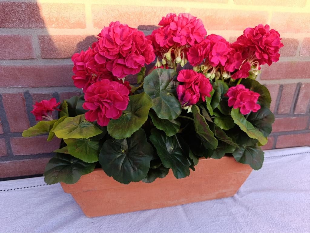 Kunst geraniums, Ophalen of Verzenden