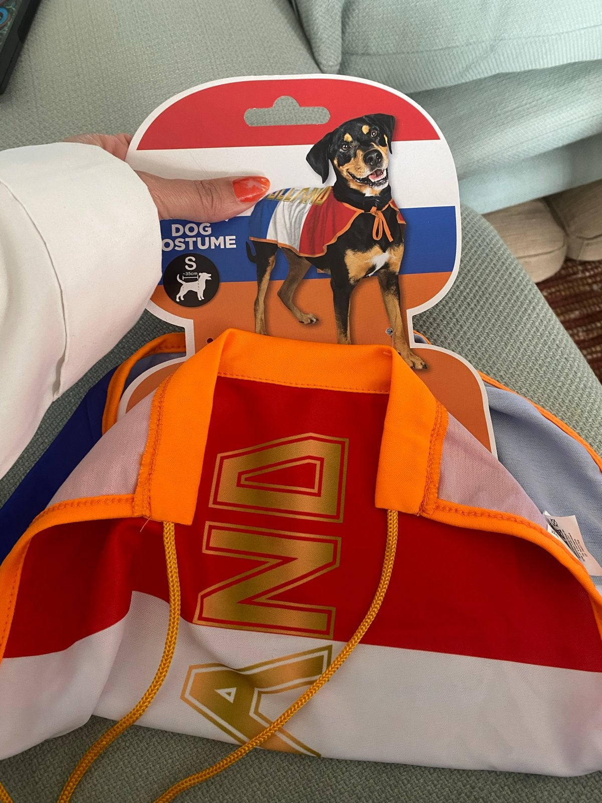 Honden hond kleding voetbal oranje fan dog hesje nieuw, Ophalen of Verzenden