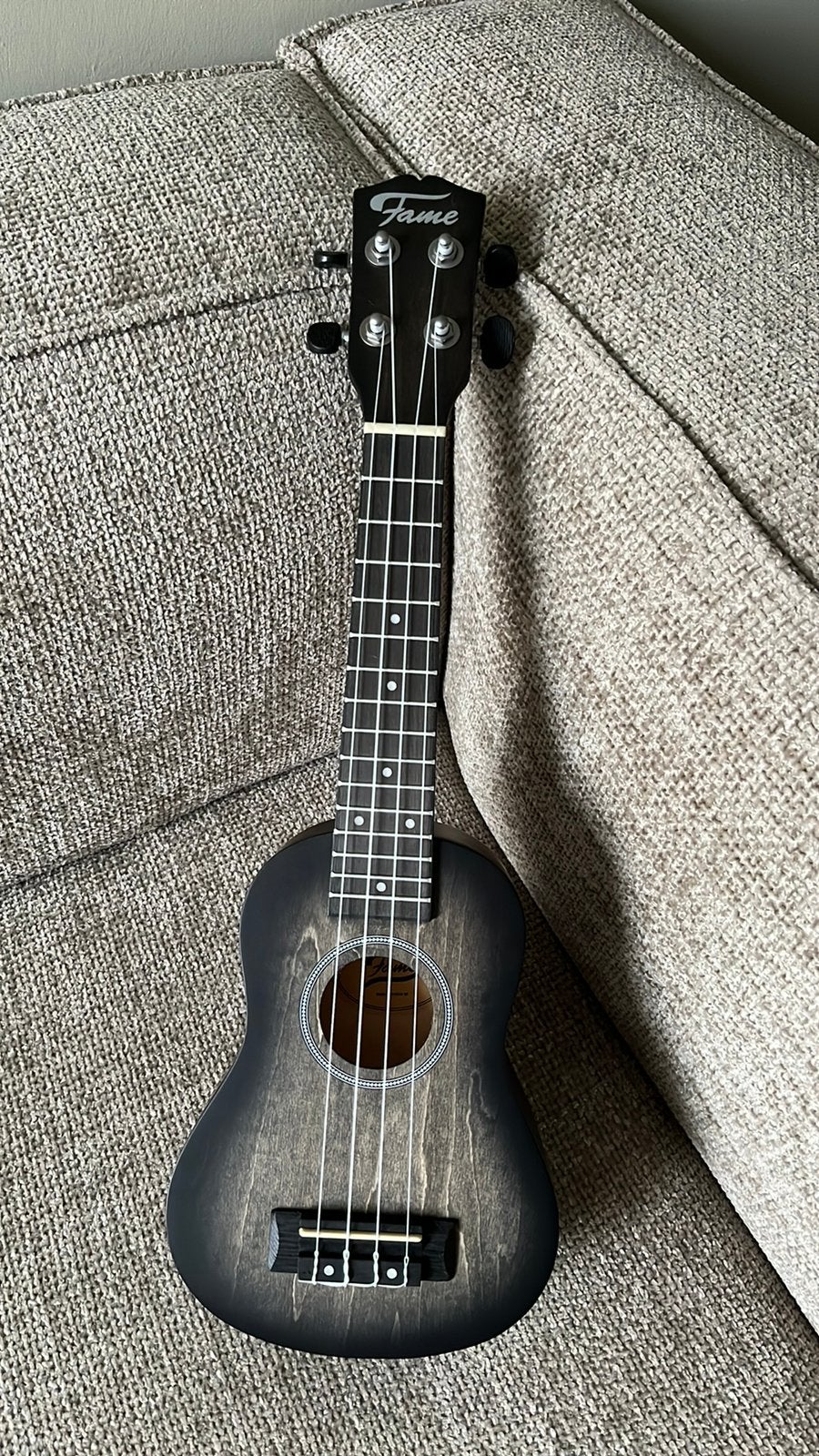 Fame ukelele - met hoes en capo, Muziek en Instrumenten, Ophalen, Zo goed als nieuw, Overige typen