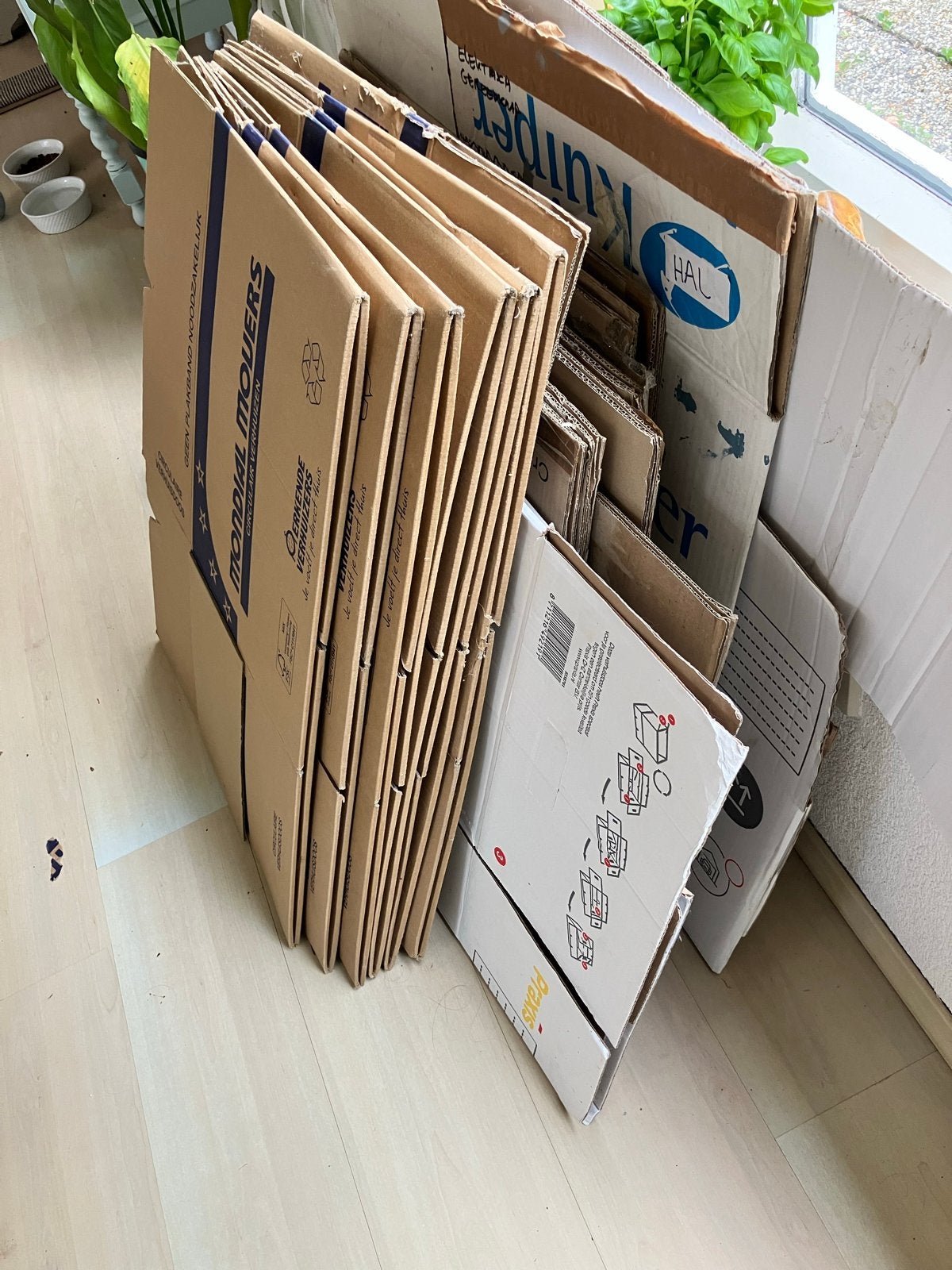 25 verhuisdozen - Diverse maten, stevig en herbruikbaar, Ophalen, 100 cm of meer, Opvouwbaar, 60 cm of meer
