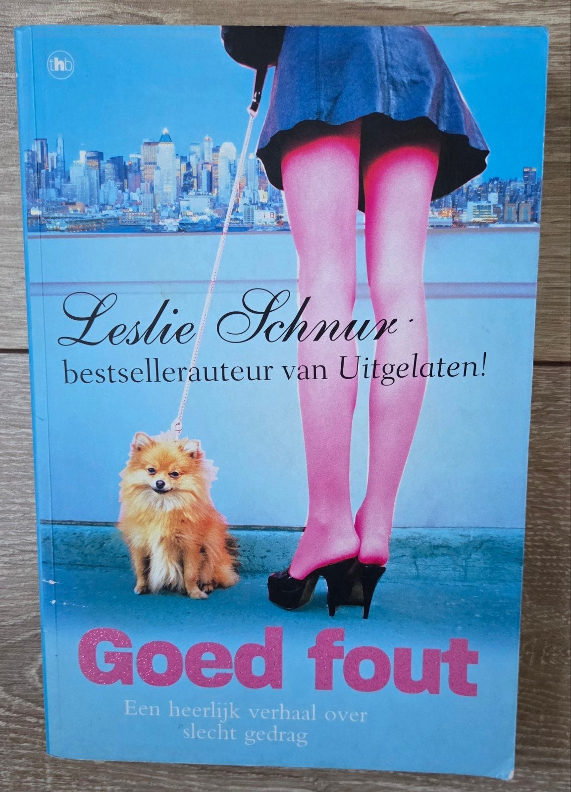 Leslie Schnur - Goed fout, Boeken, Chicklit, Zo goed als nieuw, Ophalen of Verzenden