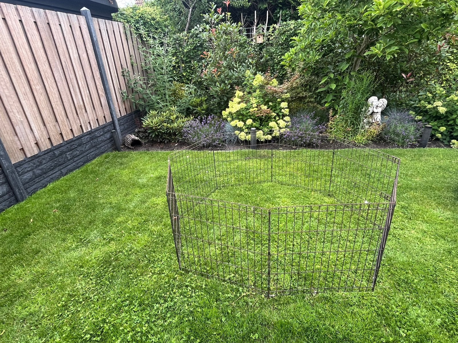 Konijnenren, Dieren en Toebehoren, Knaagdieren en Konijnen | Hokken en Kooien, Ophalen, 60 tot 90 cm, Konijn, Ren