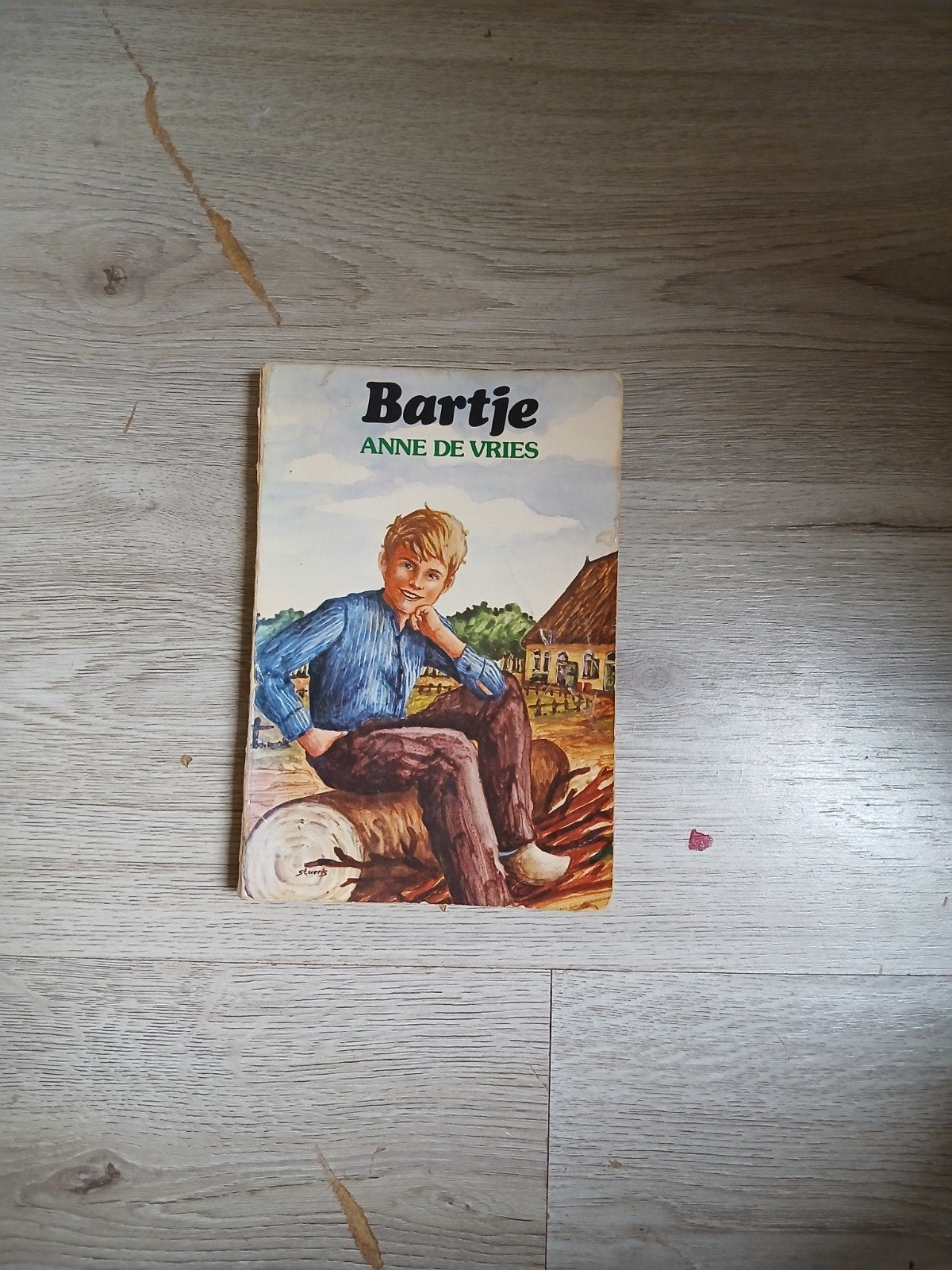 Bartje door Anne de Vries - Klassiek jeugdboek, Ophalen of Verzenden, Gelezen, Anne de Vries, Fictie algemeen