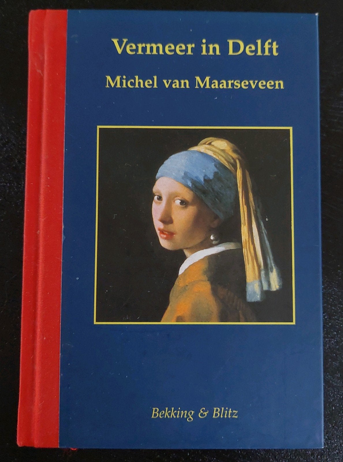 Vermeer in Delft - Michel van Maarseveen, Ophalen of Verzenden