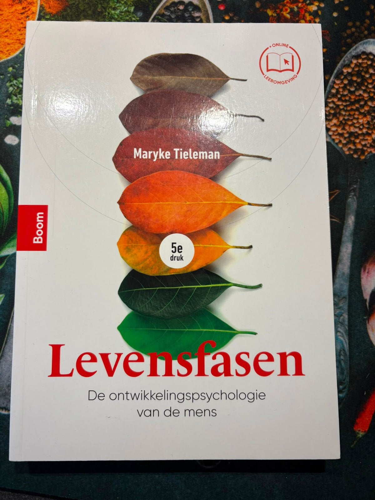 Studieboeken Social work, Boeken, Ophalen of Verzenden, Alpha, Zo goed als nieuw, HBO