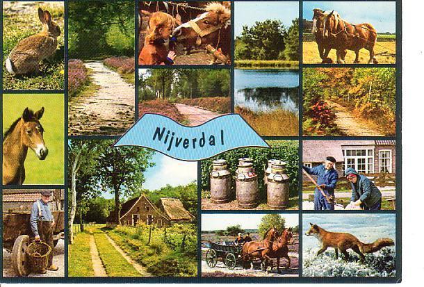 Ansichtkaart	Nijverdal	15-luik	Paarden, Verzenden, 1960 tot 1980, Ongelopen, Overijssel