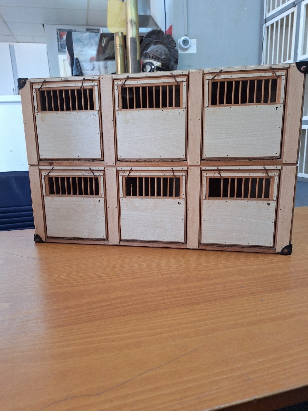 Duiven vervoerbox, Meerdere dieren, Kropper