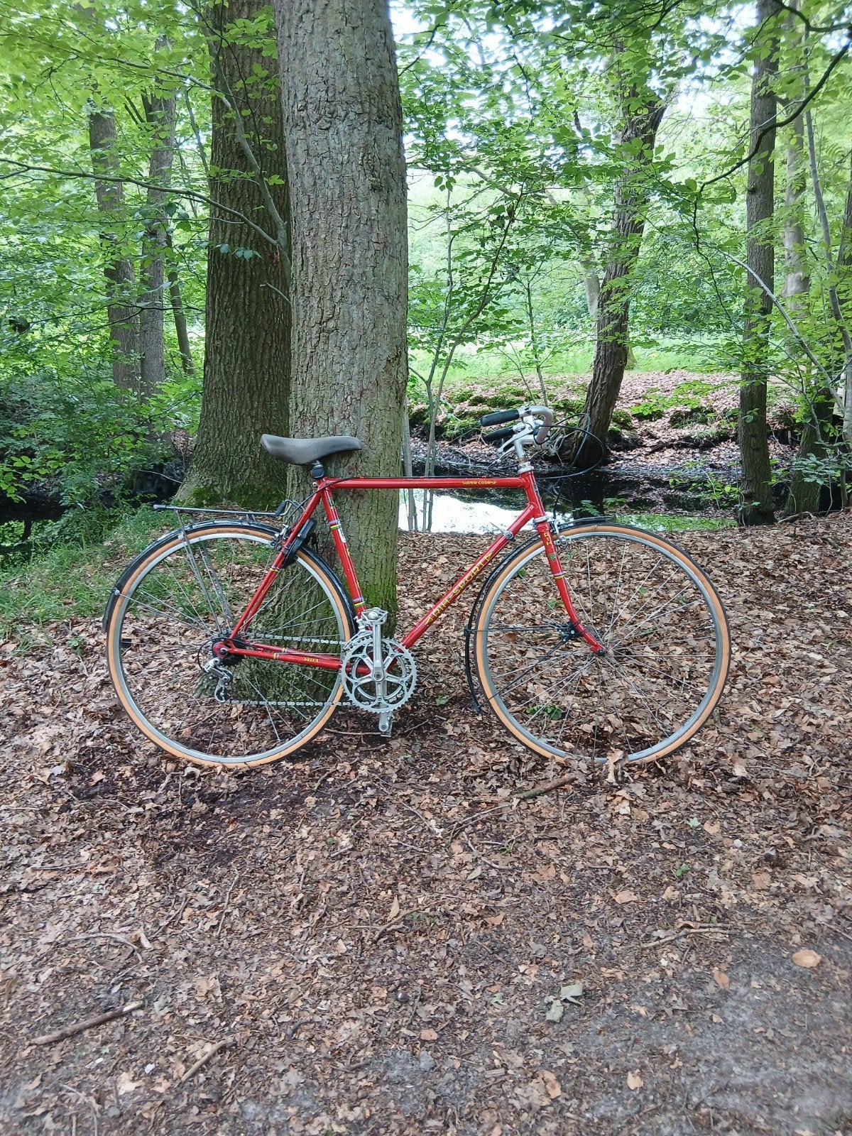 Rode Rih fiets - Klassieke stadsfiets opknapper, 28 inch, Gebruikt, 10 tot 15 versnellingen, Velgrem