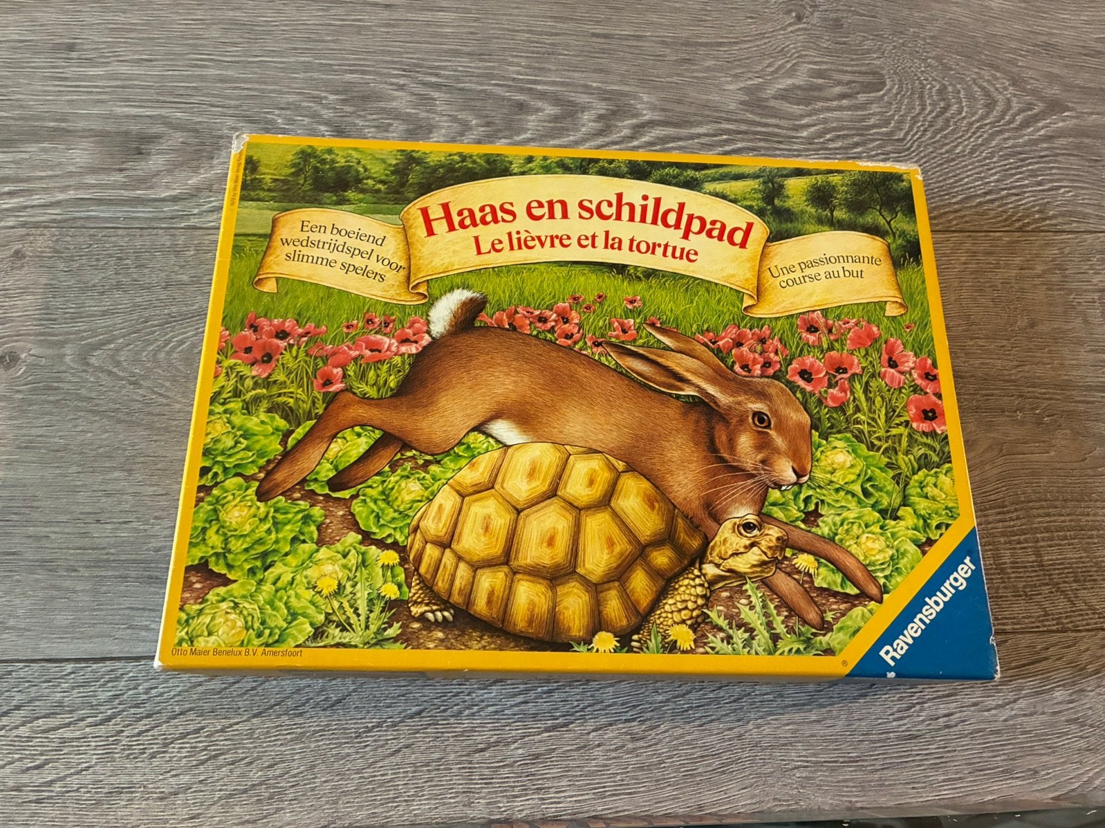 Haas en schildpad, Ophalen of Verzenden, Zo goed als nieuw