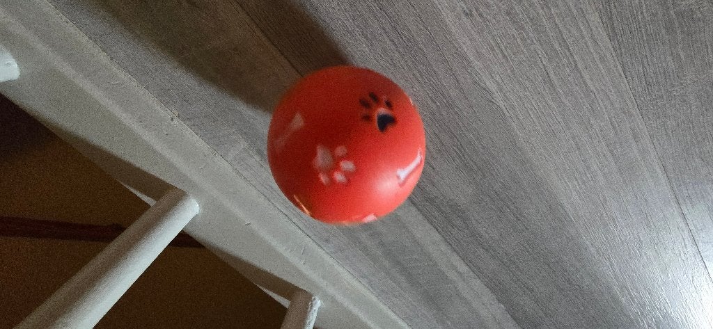 Voerbal hond/pup, Ophalen of Verzenden, Gebruikt