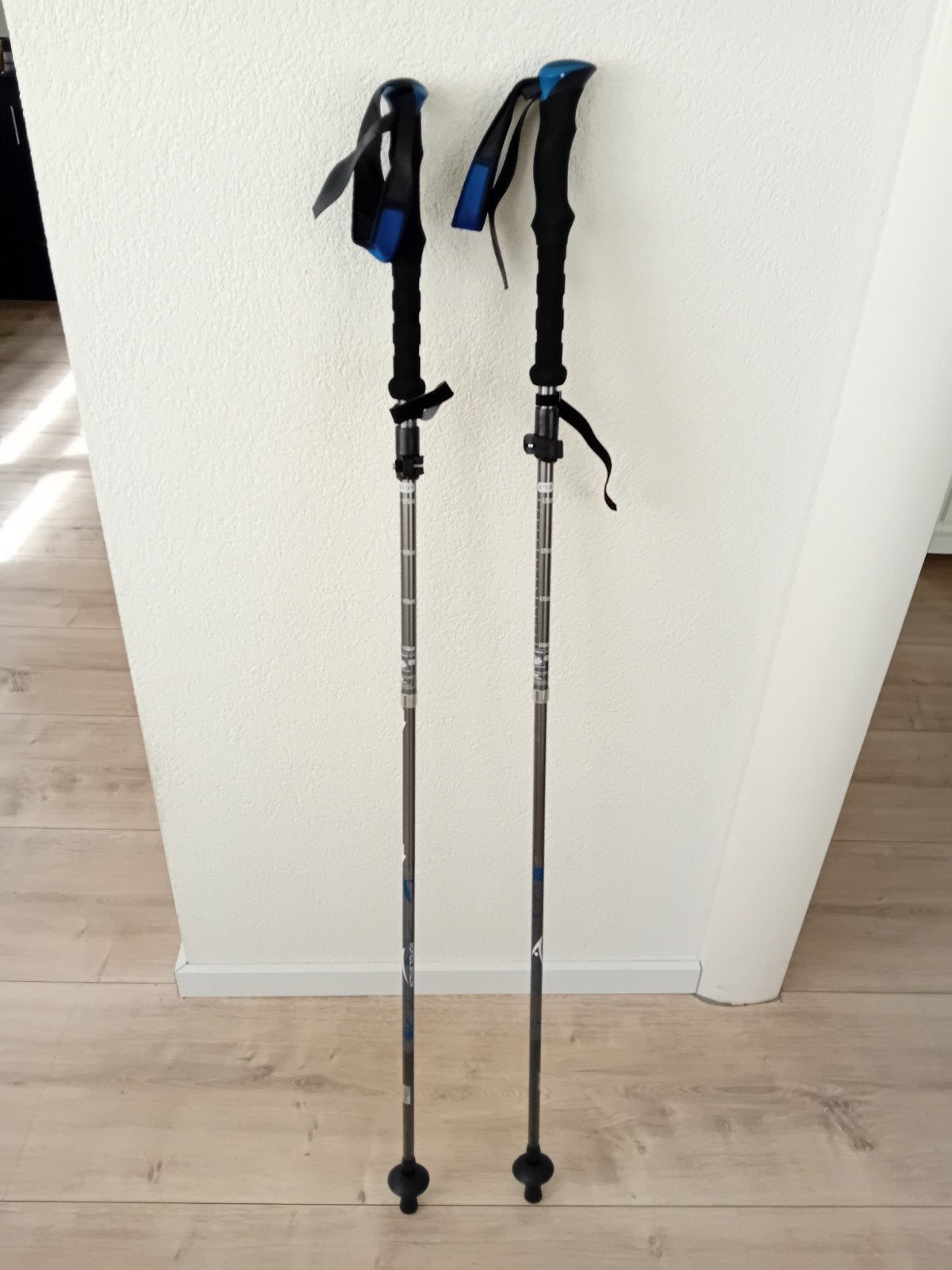 Nordic walking stokken NIEUW, Ophalen of Verzenden, Nieuw, Wandelstok