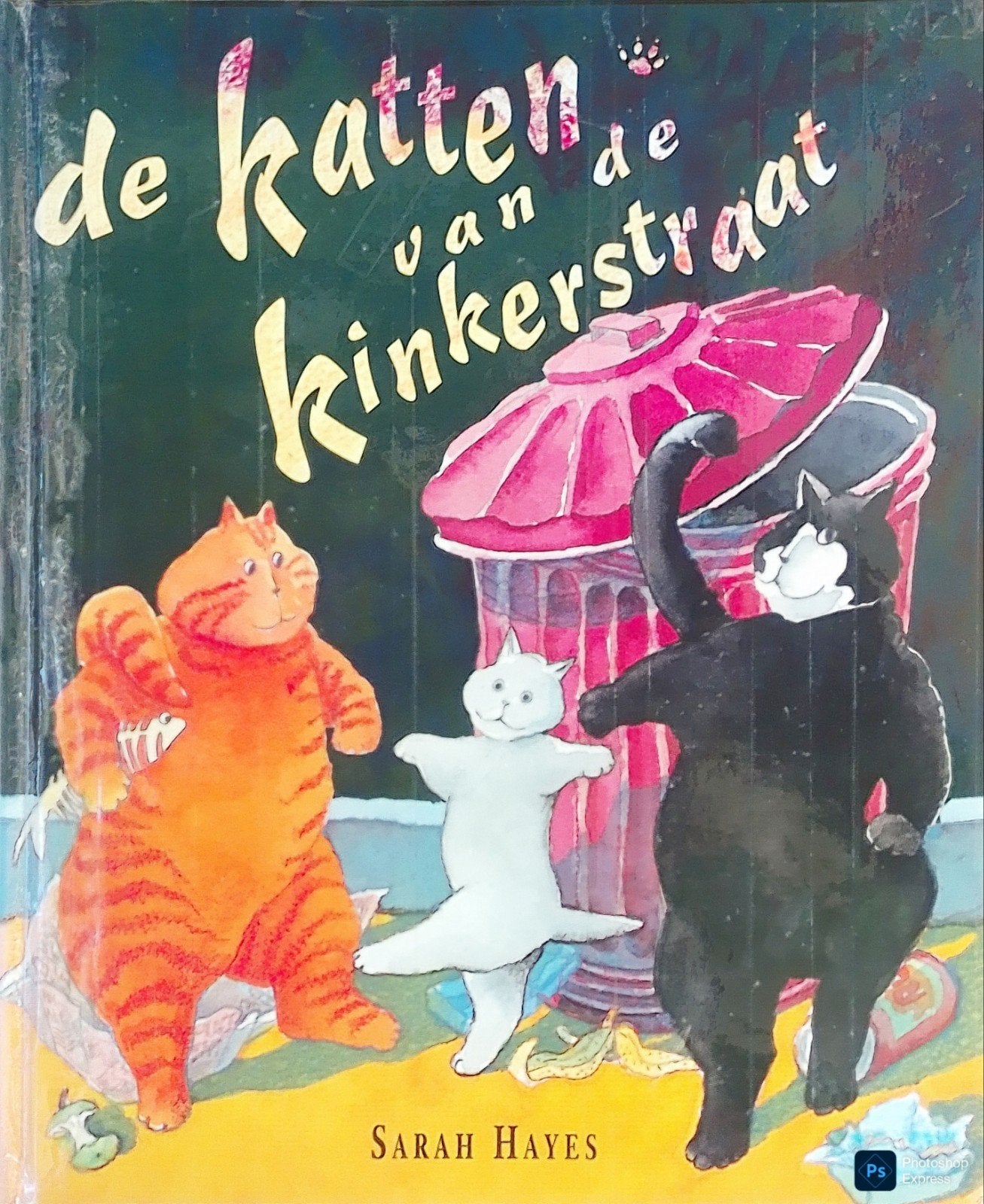 De Katten Van De Kinkerstraat, Boeken, Gelezen, Fictie algemeen, Jongen of Meisje, Sarah Hayes.
