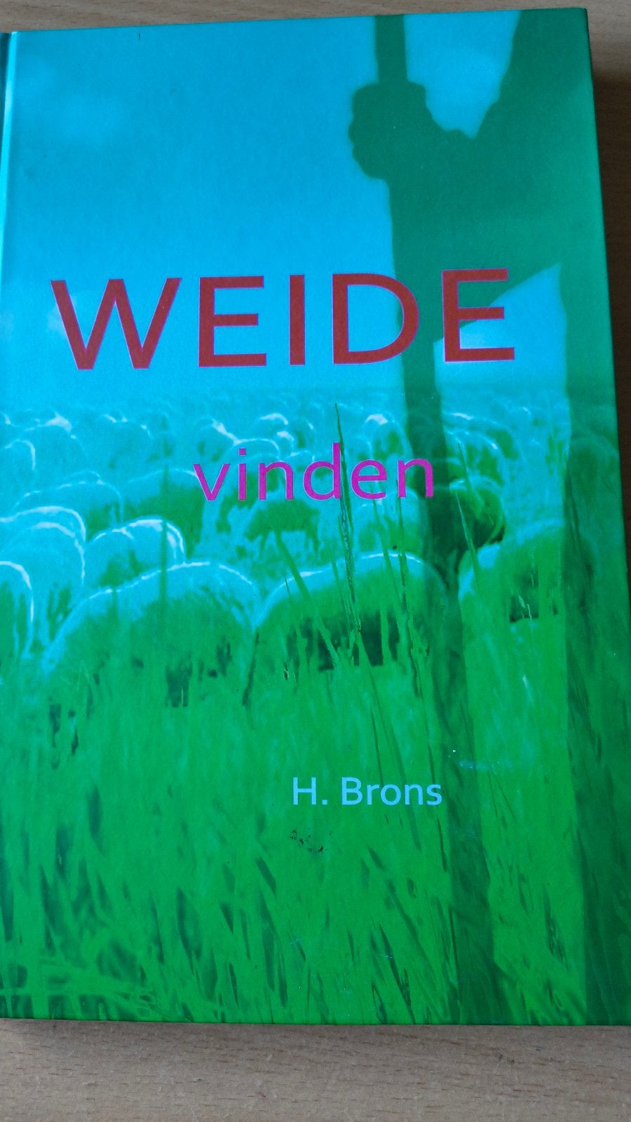 Weide vinden. . H Brons. Gesch.Ger Gem.Kootwijkerbroek, H Brons, Christendom | Protestants, Ophalen of Verzenden, Zo goed als nieuw