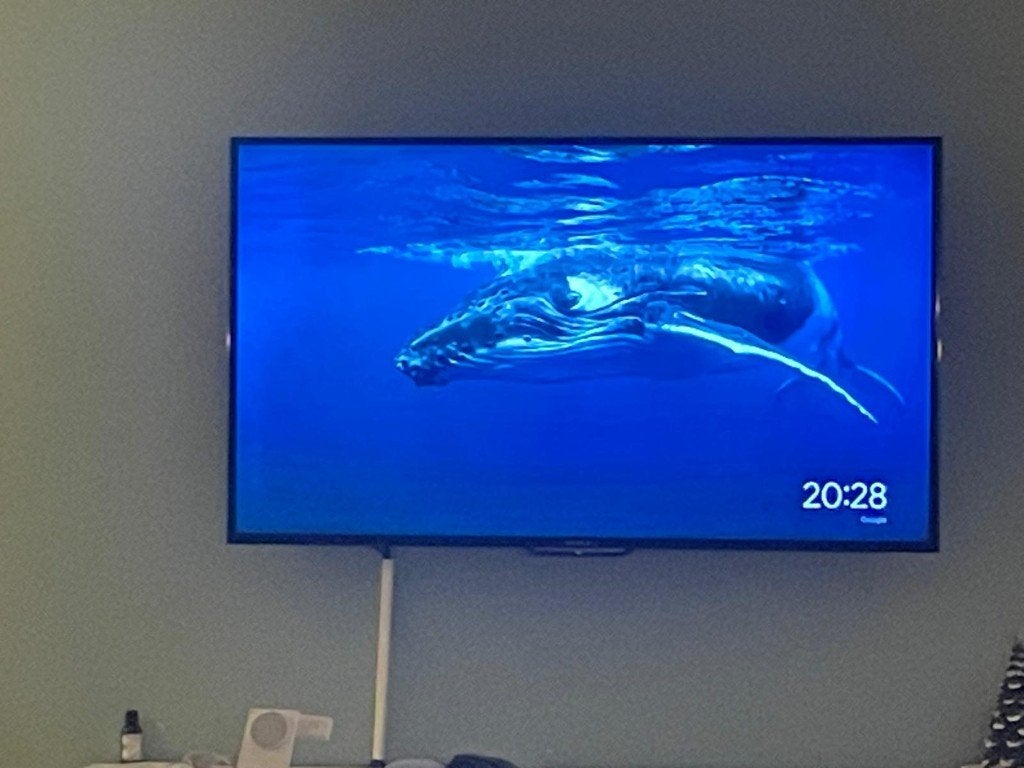 Sony Bravia 50-inch HD TV, Ophalen, LED, 50 Hz, Zo goed als nieuw
