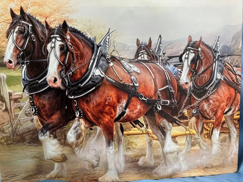 Schilderij trekpaarden, 30x40 cm, Ophalen of Verzenden