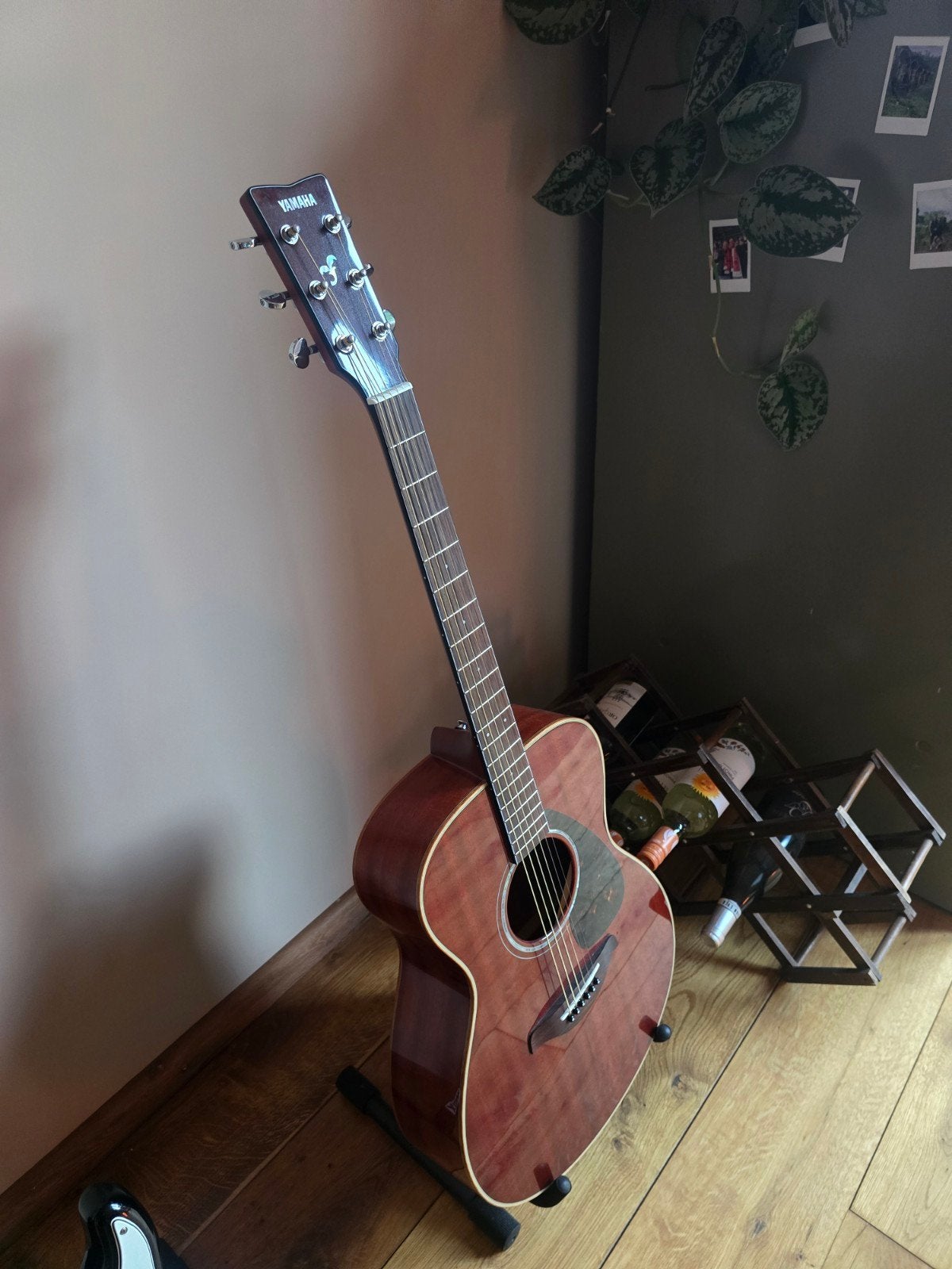 Foto 8 van akoestische gitaar