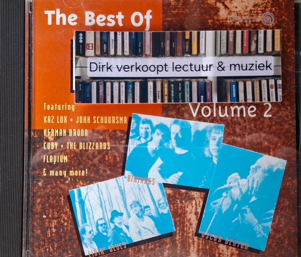 Div. artiesten; The Best Of Nederblues vol. 2 (NL, 2001), Bluesrock, Ophalen of Verzenden, Zo goed als nieuw, Verzamelalbum