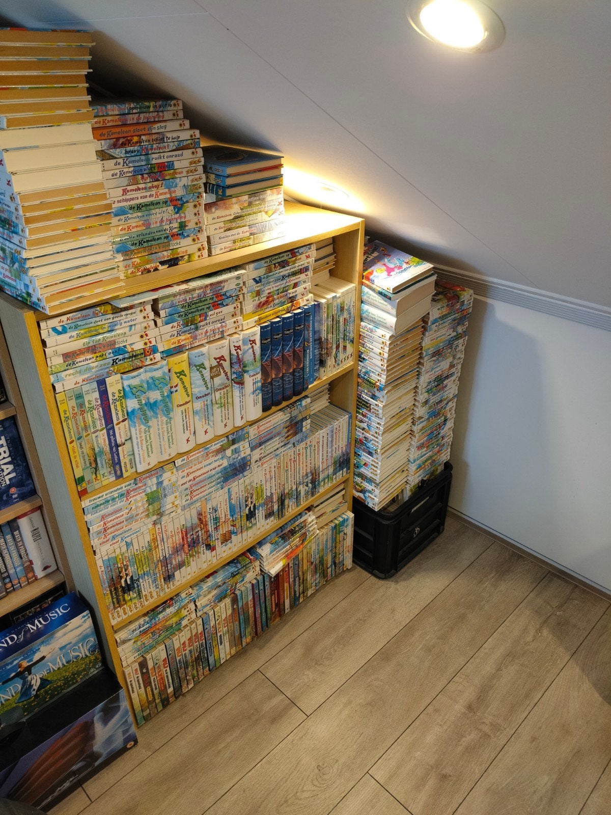 Kameleonboeken alle series te koop 100den exemplaren, Verzenden, Zo goed als nieuw, H. de Roos, Fictie algemeen
