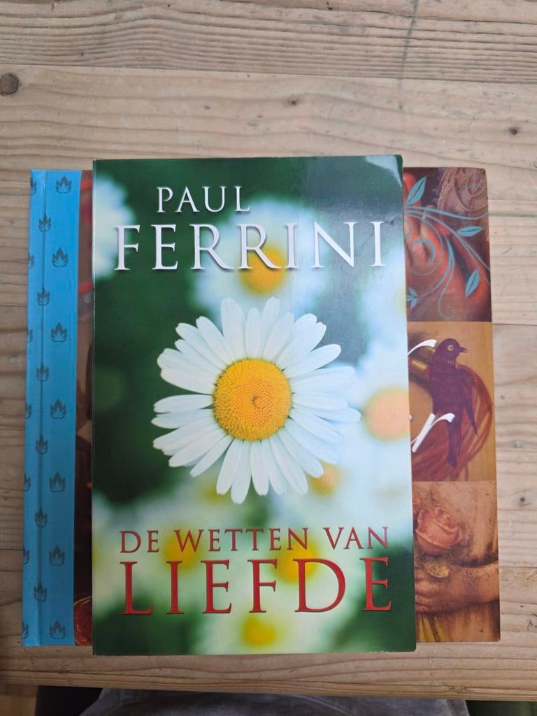 Paul Ferrini - De Wetten van Liefde, Boeken, Romans, Gelezen, Nederland, Ophalen of Verzenden