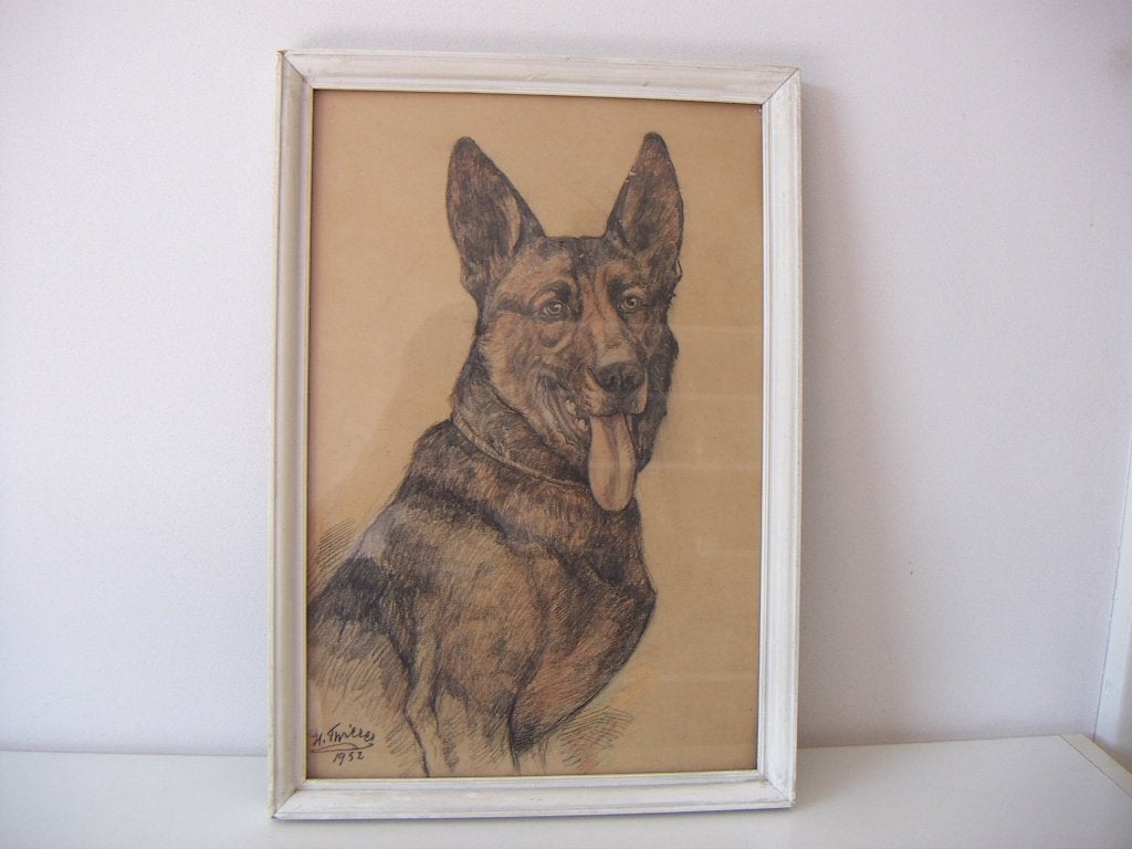 Hermann Thierer . Tekening van herdershond uit jr.1932., Antiek en Kunst, Ophalen of Verzenden, Tekening, Potloodtekening, Handgemaakt