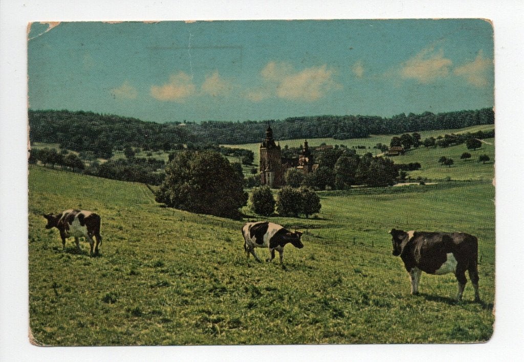 Oude ansichtkaart Zuid-Limburg met koeien en kerk, Ophalen of Verzenden, 1960 tot 1980, Gelopen, Limburg