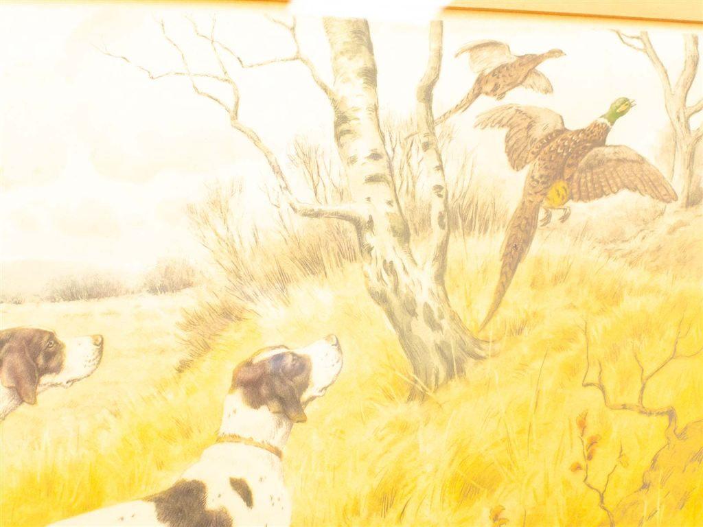 prent van jachthonden 34500, Ophalen of Verzenden, Voor 1920, Ongelopen, Vogel