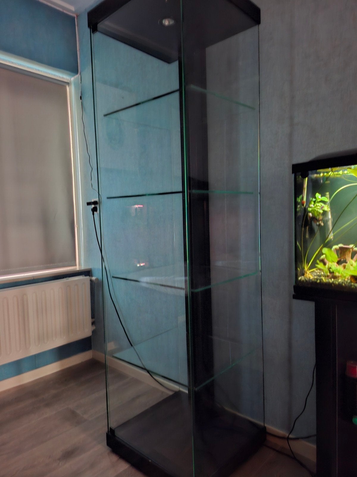 vitrine kast, Antiek en Kunst, Ophalen