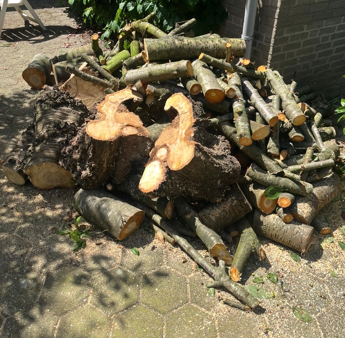 Brandhout openhaardhout, diverse stammen en takken, Tuin en Terras, Haardhout, 3 tot 6 m³, Ophalen of Verzenden, Overige houtsoorten