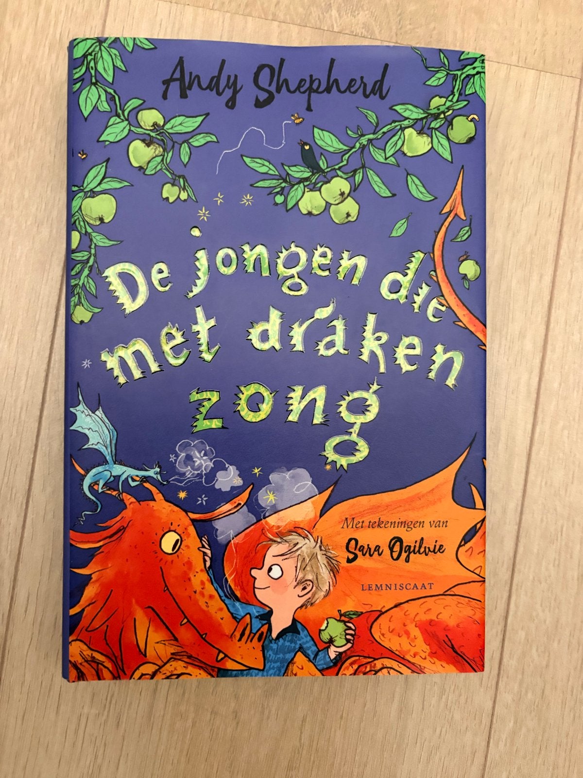 De jongen die met draken zong - Andy Shepherd, Ophalen, Zo goed als nieuw, Fictie