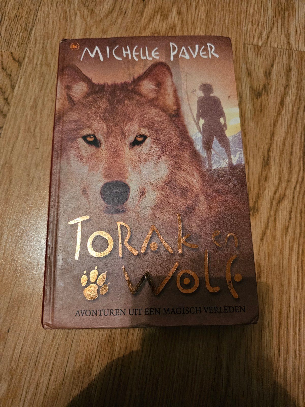 Torak en Wolf - Avonturen uit een Magisch Verleden, Boeken, Ophalen of Verzenden