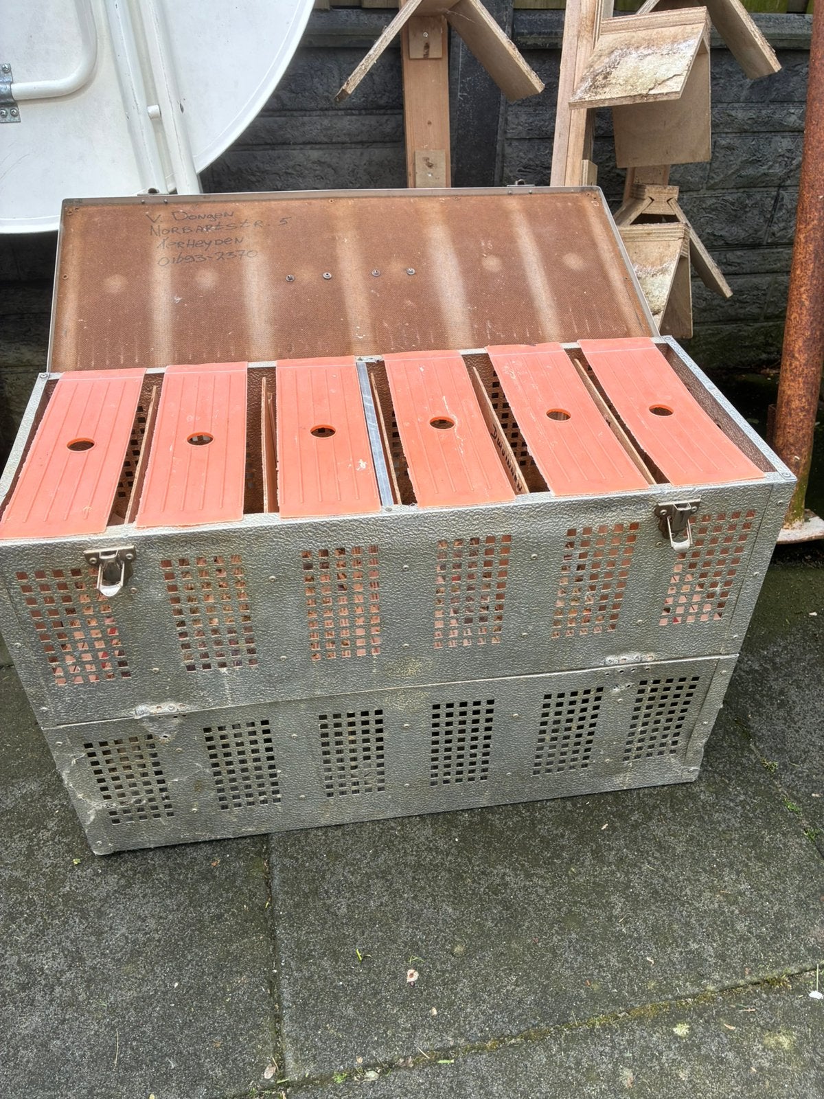 Postduiven duivenmand 12-vaks, Meerdere dieren, Postduif