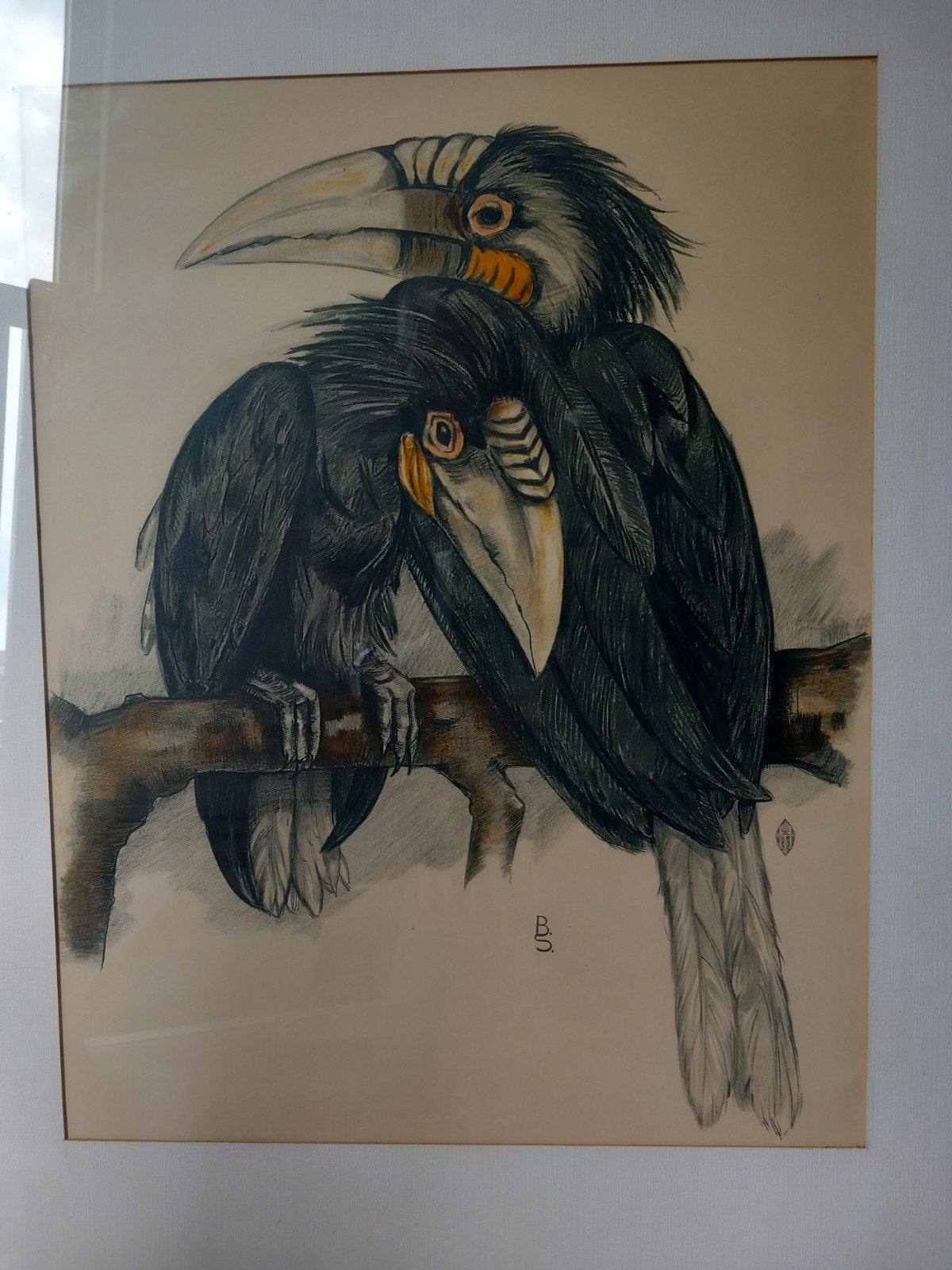 Fraaie kleurenlitho van 2 neushoornvogels, gesigneerd B S., Ophalen, 1950 - 1999, 80 cm, Ingelijst