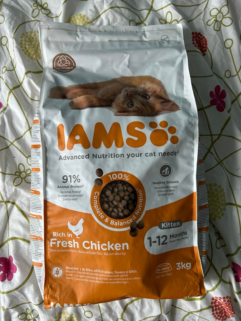 Kittenvoer Iams 0-12 Months, Ophalen, Kat