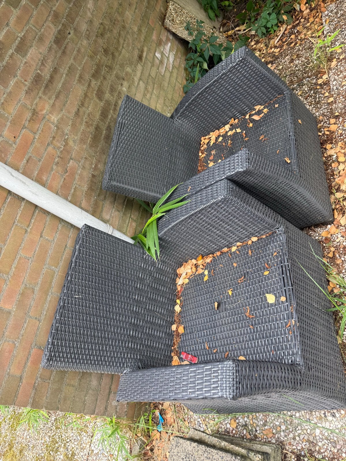 Wicker Tuinstoelen - Set van 2, Gebruikt, Wicker, Stoel, Tuinset