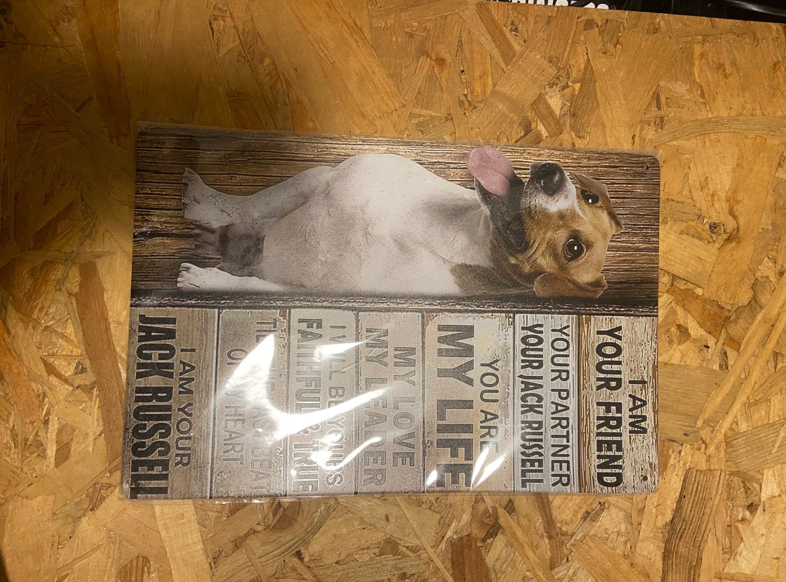 Jack russel bord nieuw, Ophalen of Verzenden, Nieuw