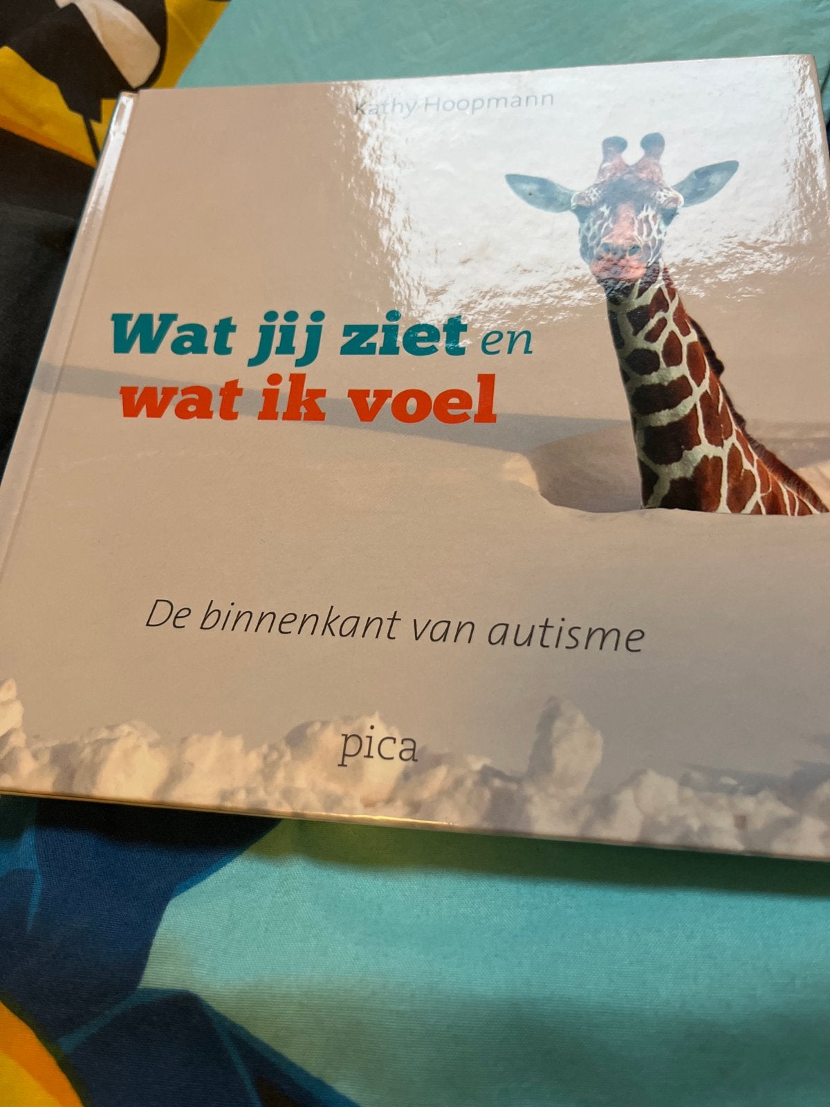 Wat jij ziet en wat ik voel - De binnenkant van autisme, Ophalen of Verzenden, Zo goed als nieuw, Overige onderwerpen