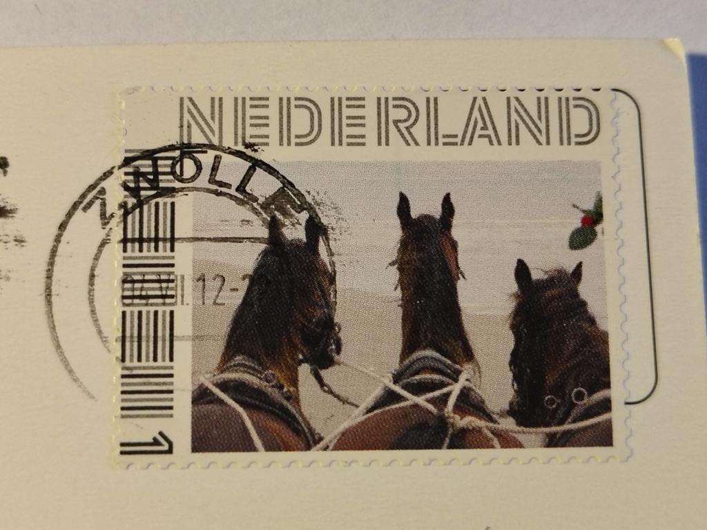 Persoonlijke Postzegel Paarden op Terschelling Ansichtkaart, Ophalen of Verzenden, 1980 tot heden, Friesland
