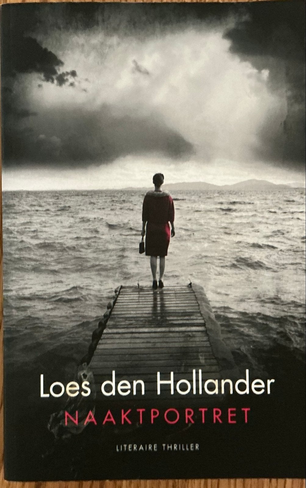 Loes den Hollander - Naaktportret (Literaire thriller), Ophalen of Verzenden, Gelezen, Nederland