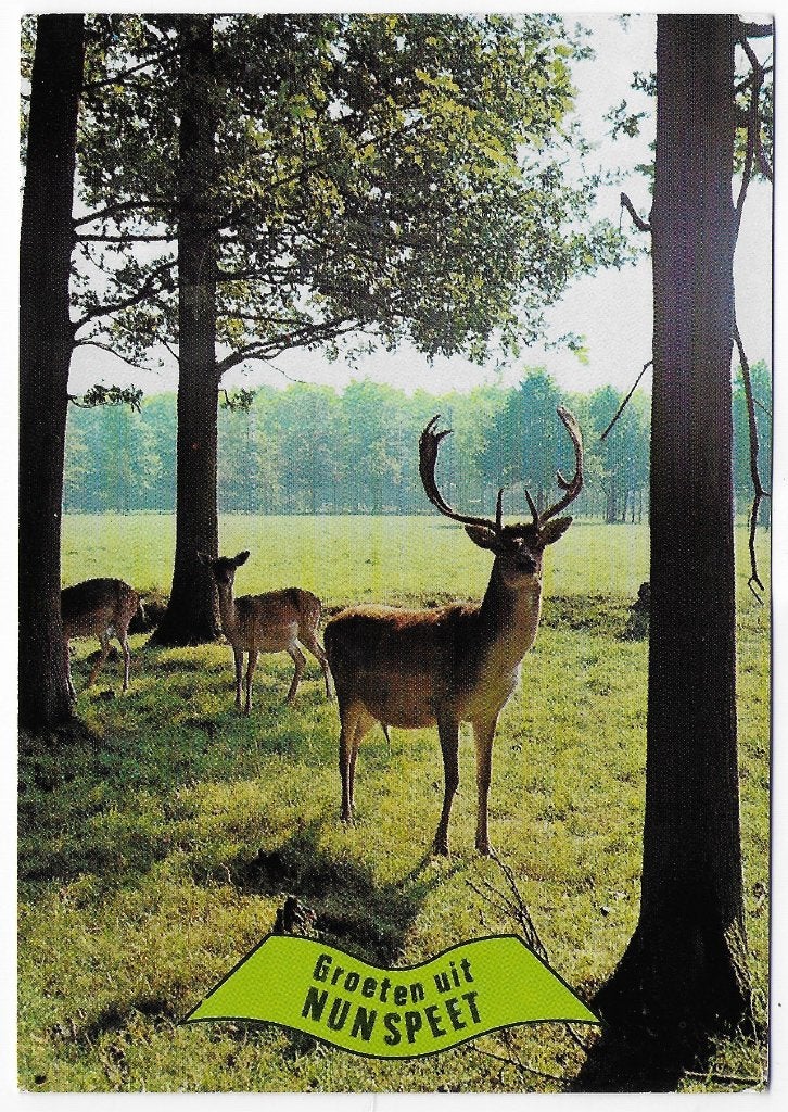 Nunspeet Gelopen Ansichtkaart ( B6264, Ophalen of Verzenden, 1980 tot heden, Gelopen, Gelderland