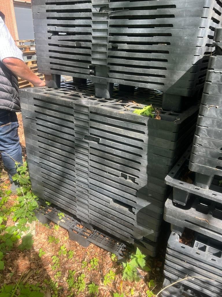 Kunststof pallets – stevig en herbruikbaar (meerdere), Ophalen, 25 tot 50 mm, Zo goed als nieuw, Pallet
