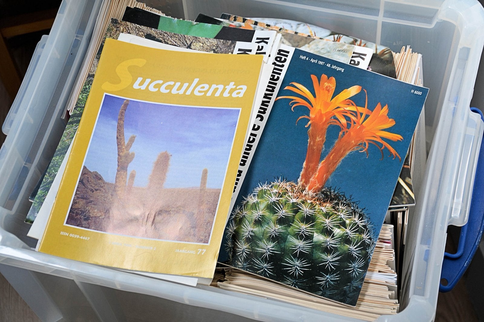 Heel veel cactus maandbladen: Succulenta, Boeken, Wonen en Tuinieren, Ophalen, Zo goed als nieuw