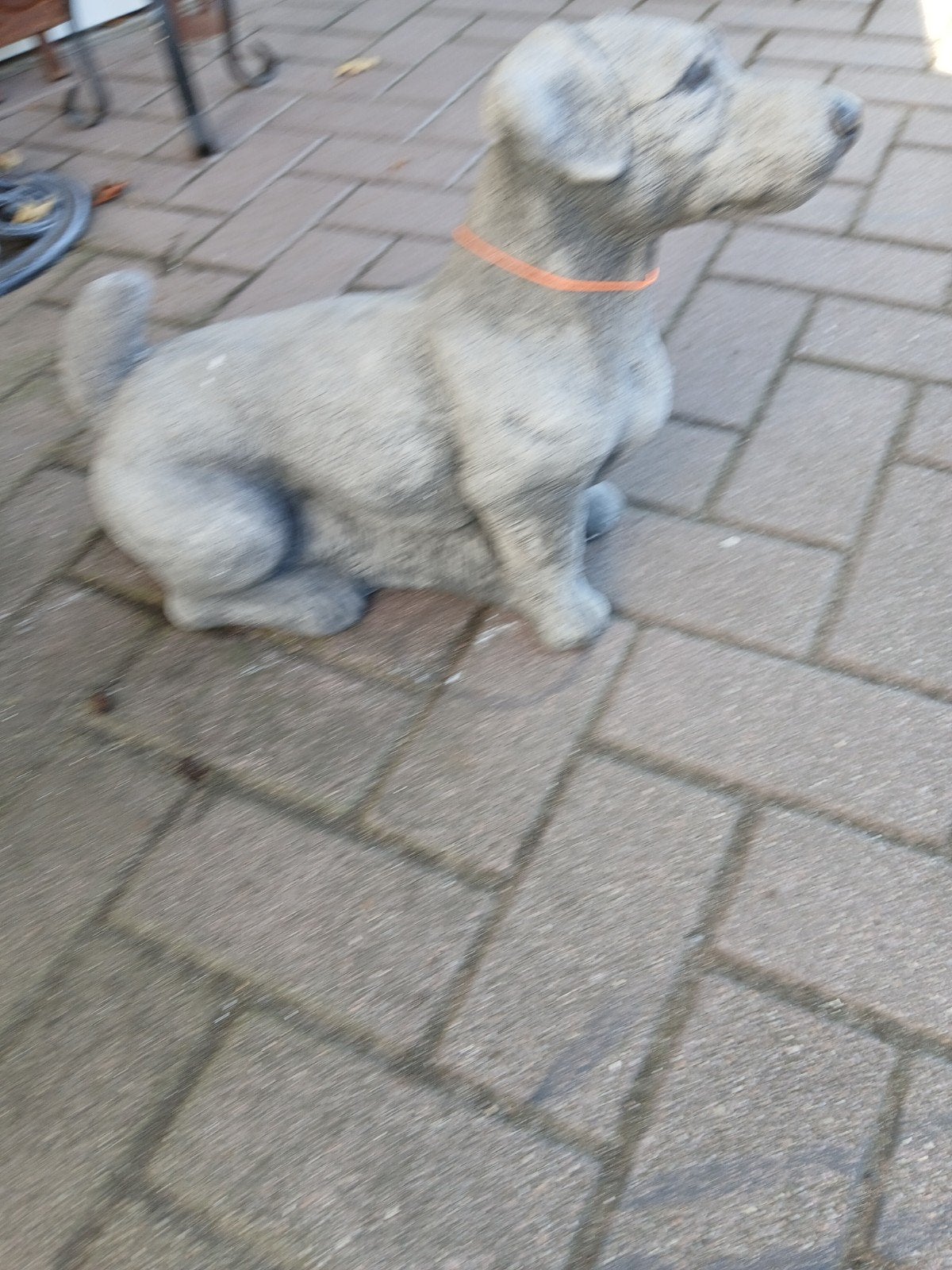 betonnen hond, Ophalen