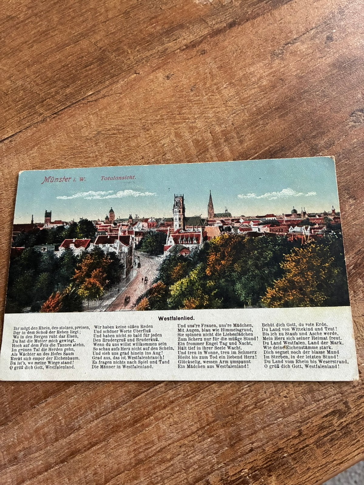 Ansichtkaart Duitsland Munster, Verzamelen, Ansichtkaarten | Buitenland, Ophalen of Verzenden, Voor 1920, Gelopen, Duitsland