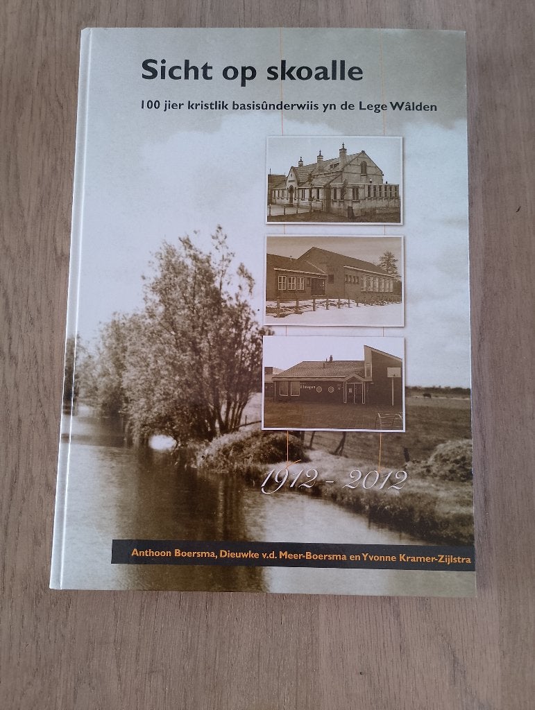 Sicht op skoalle, Ophalen of Verzenden, 20e eeuw of later, Nieuw