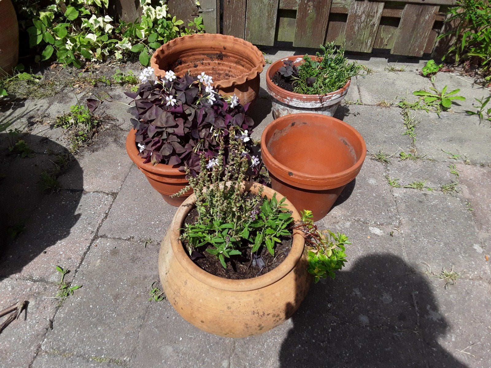 Terracotta Bloempotten ., Gebruikt, Rond, Minder dan 40 cm, Terracotta