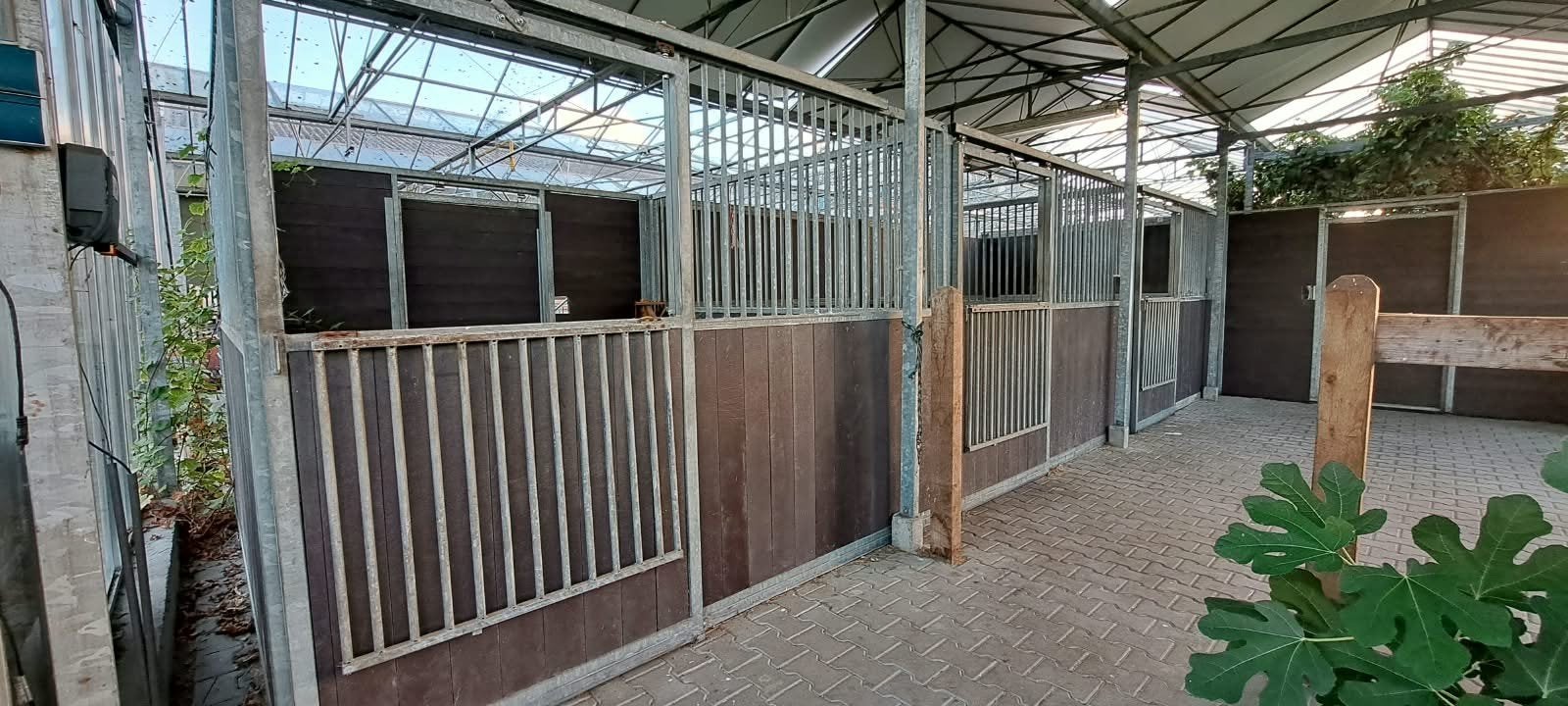 Paardenboxen nette staat., Dieren en Toebehoren