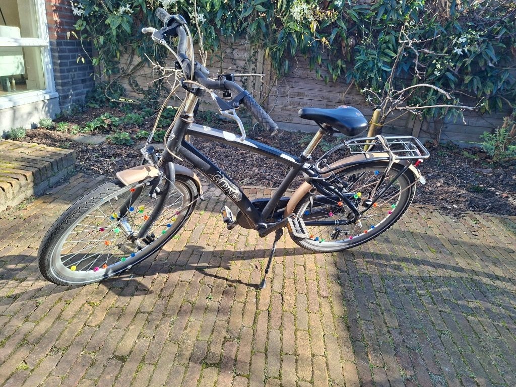 Fiets jongens 24 inch, Ophalen, Velgrem, Alpina, Versnellingen